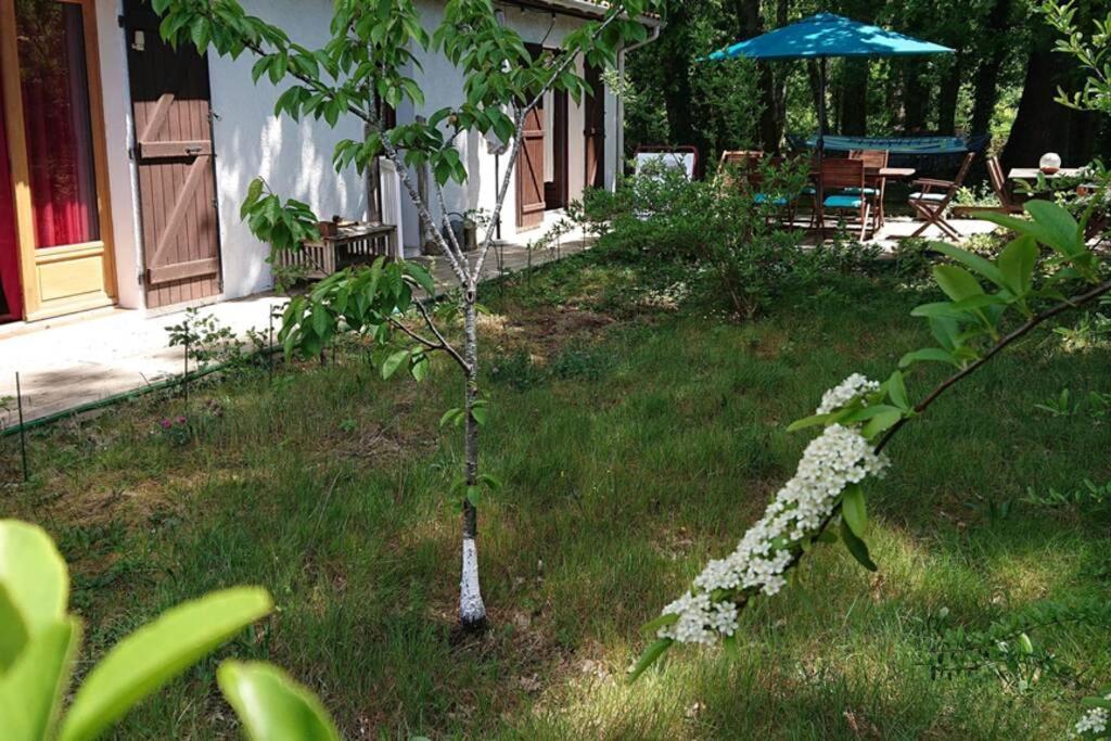 Villa Azurine Andernos Les Bains Kültér fotó